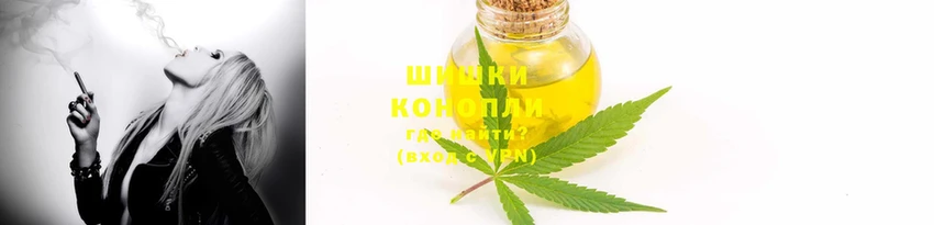 дмт Алзамай