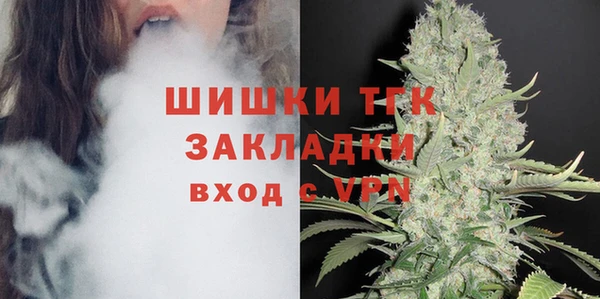 дмт Алзамай