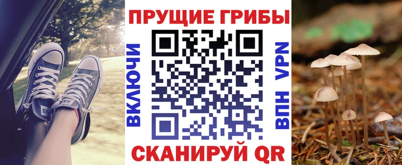 где продают наркотики  Пустошка  Псилоцибиновые грибы MAGIC MUSHROOMS 